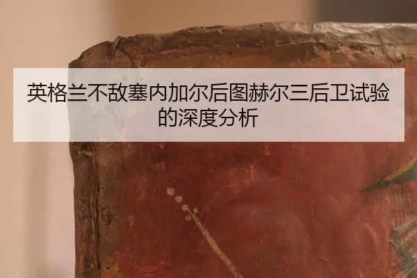 ying-ge-lan-bu-di-sai-nei-jia-er-hou-tu-he-er-san-hou-wei-shi-yan-de-shen-du-fen-xi-2-424.jpg